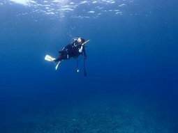 ダイバー-thumb-255x191-180.jpg