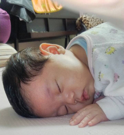 daito_photo01 (2)-thumb-250x271-242.jpg